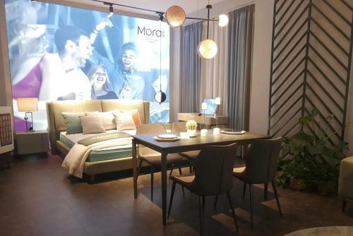 愛依瑞斯莫拉 詮釋藝術之魅，引領軟體家具新風尚